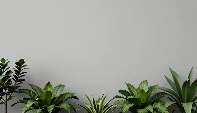 降低运维成本：软件开发运维常见问题与处理建议